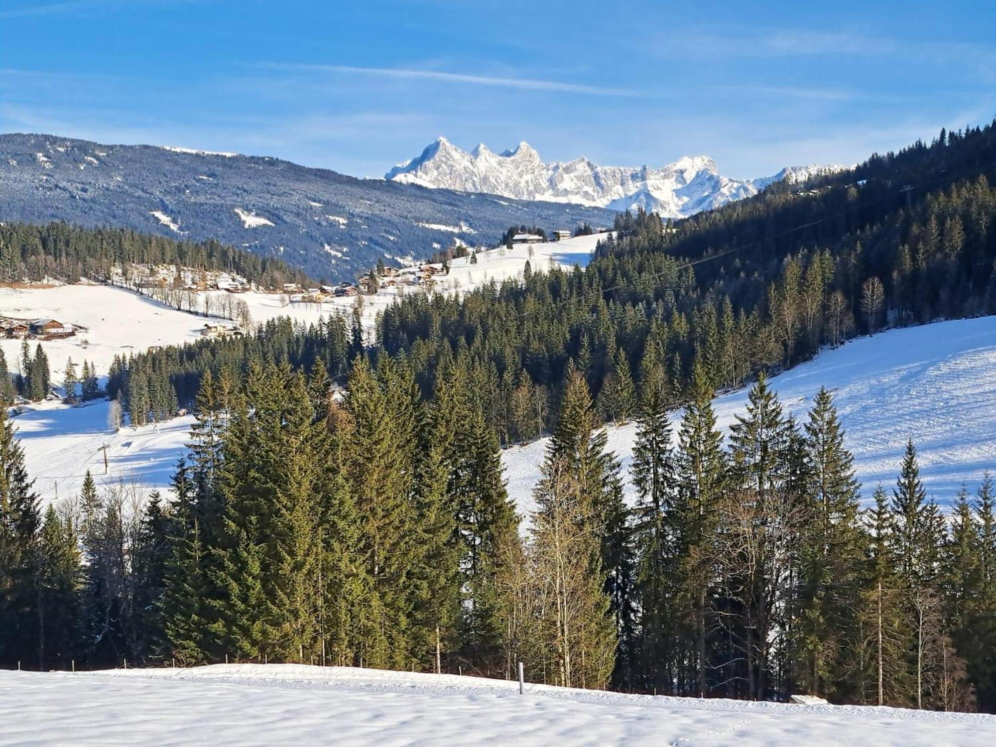 Luxus-Apartment-Vorderreit Gut Altenmarkt im Pongau Bagian luar foto