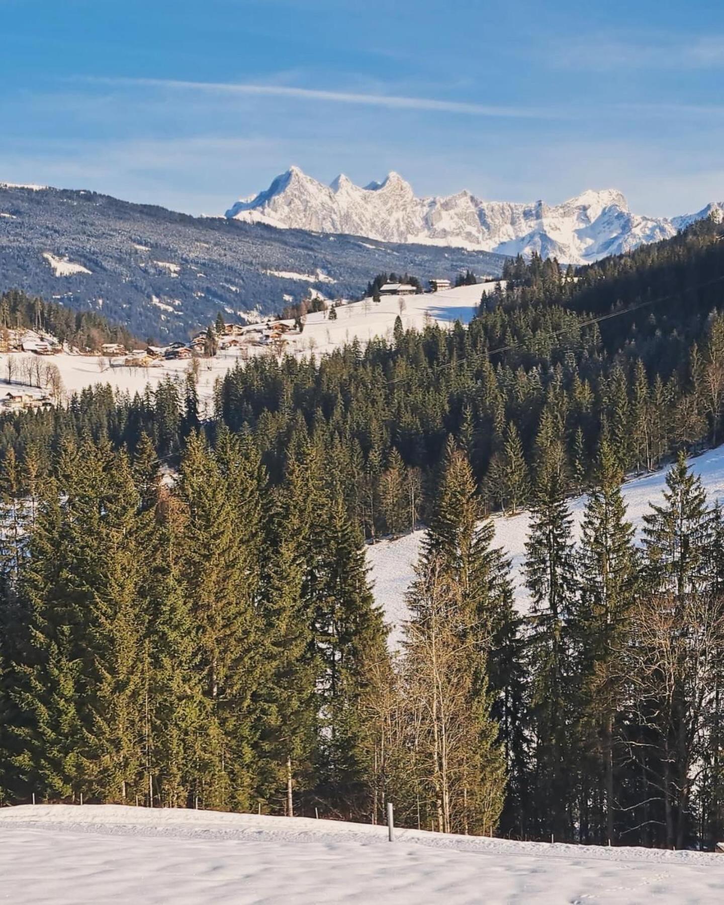 Luxus-Apartment-Vorderreit Gut Altenmarkt im Pongau Bagian luar foto